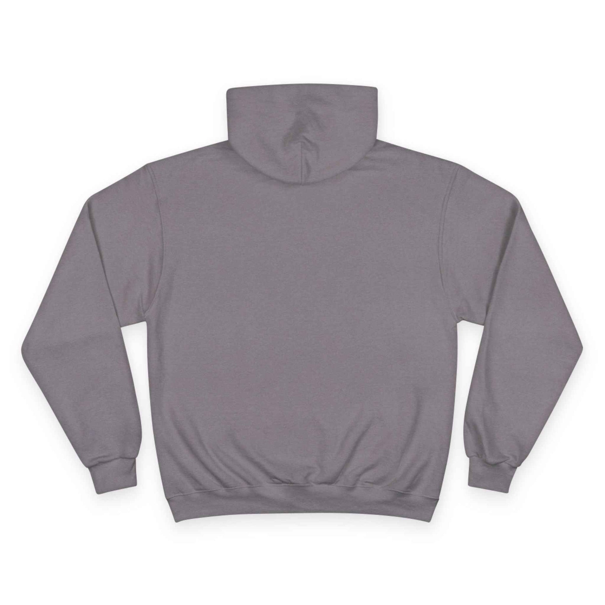 "Libraries are for Everyone" LGBTQ+ Pride  -- Hoodie