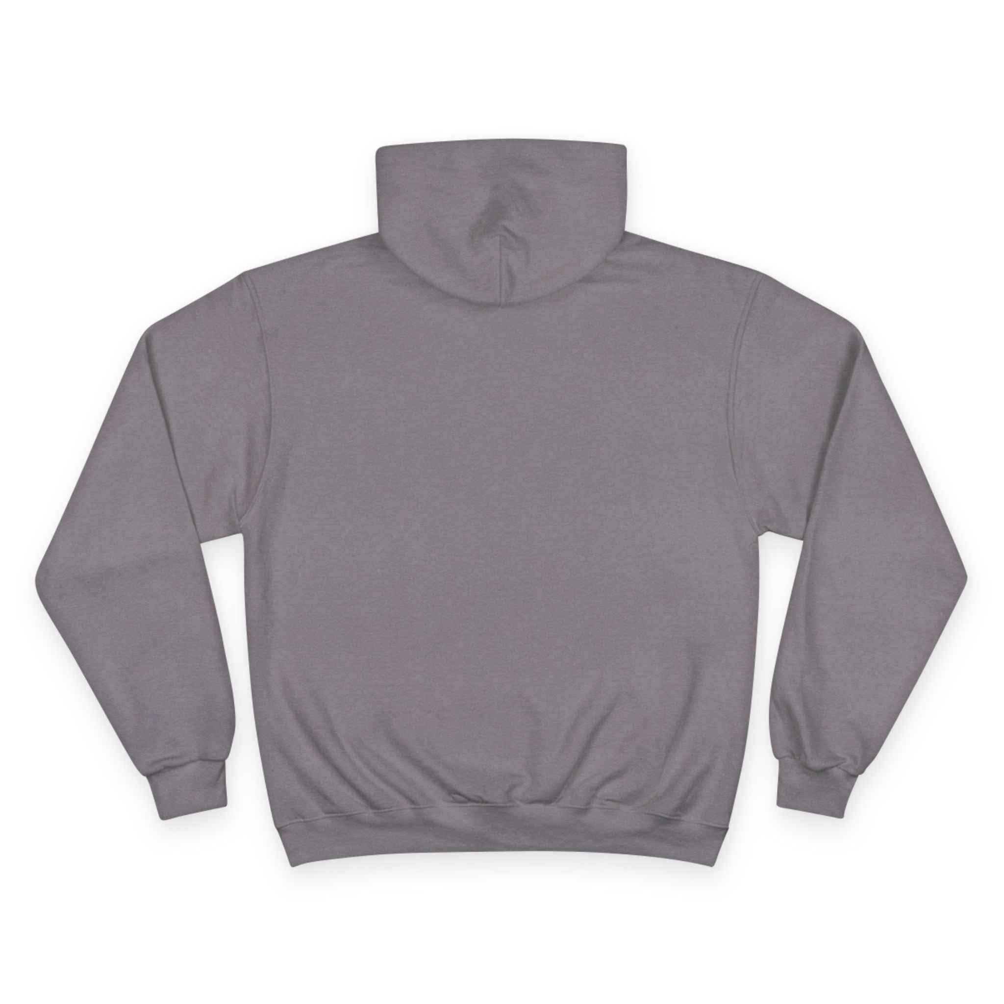 "Libraries are for Everyone" LGBTQ+ Pride  -- Hoodie