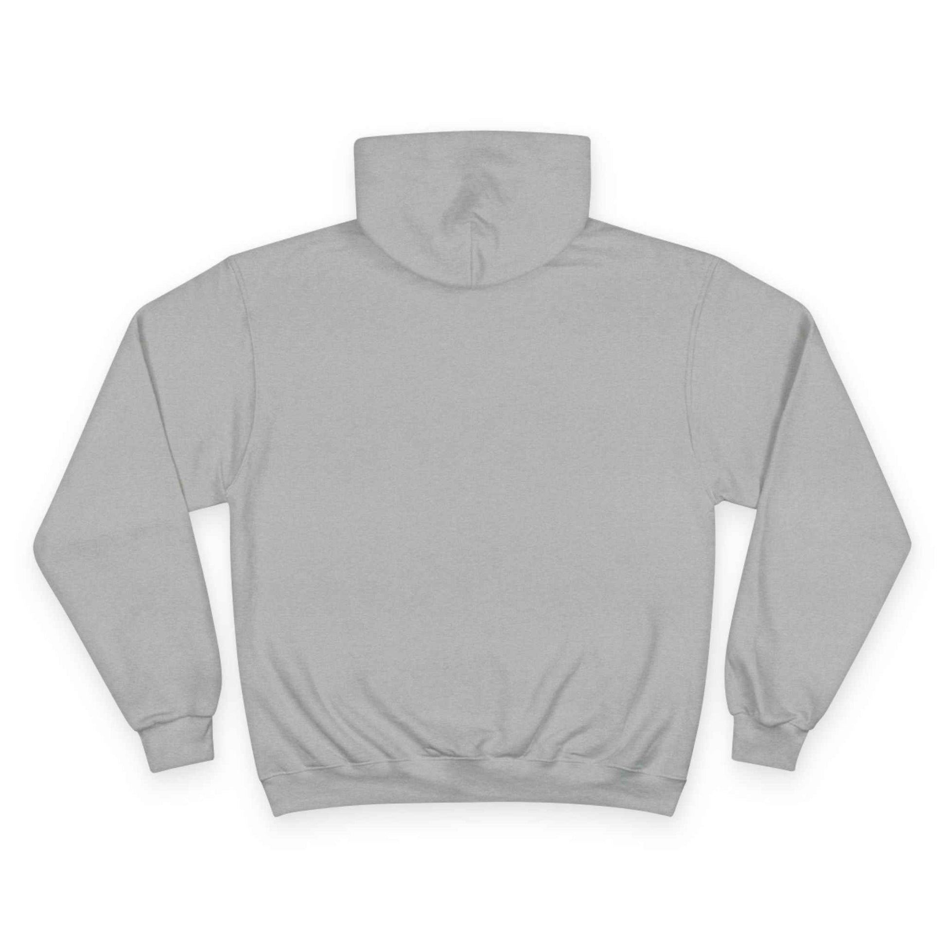"Libraries are for Everyone" LGBTQ+ Pride  -- Hoodie