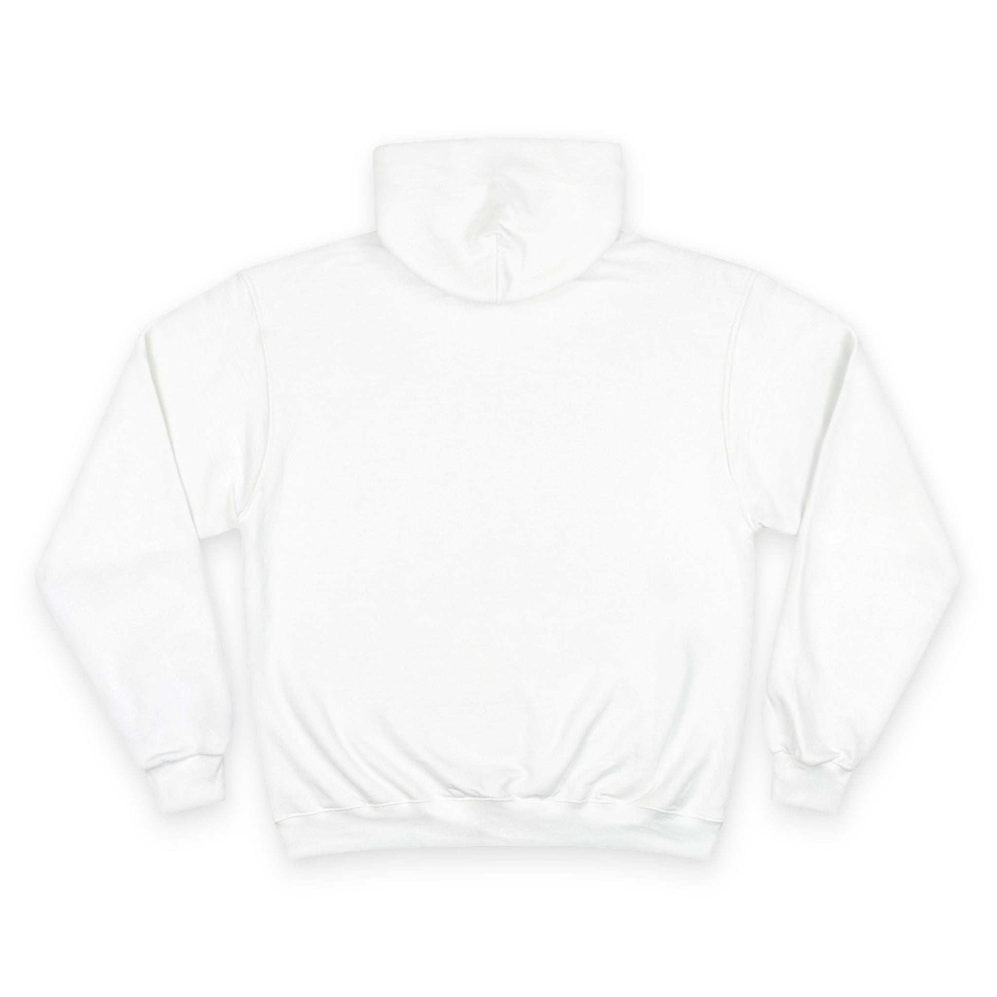 "Libraries are for Everyone" LGBTQ+ Pride  -- Hoodie