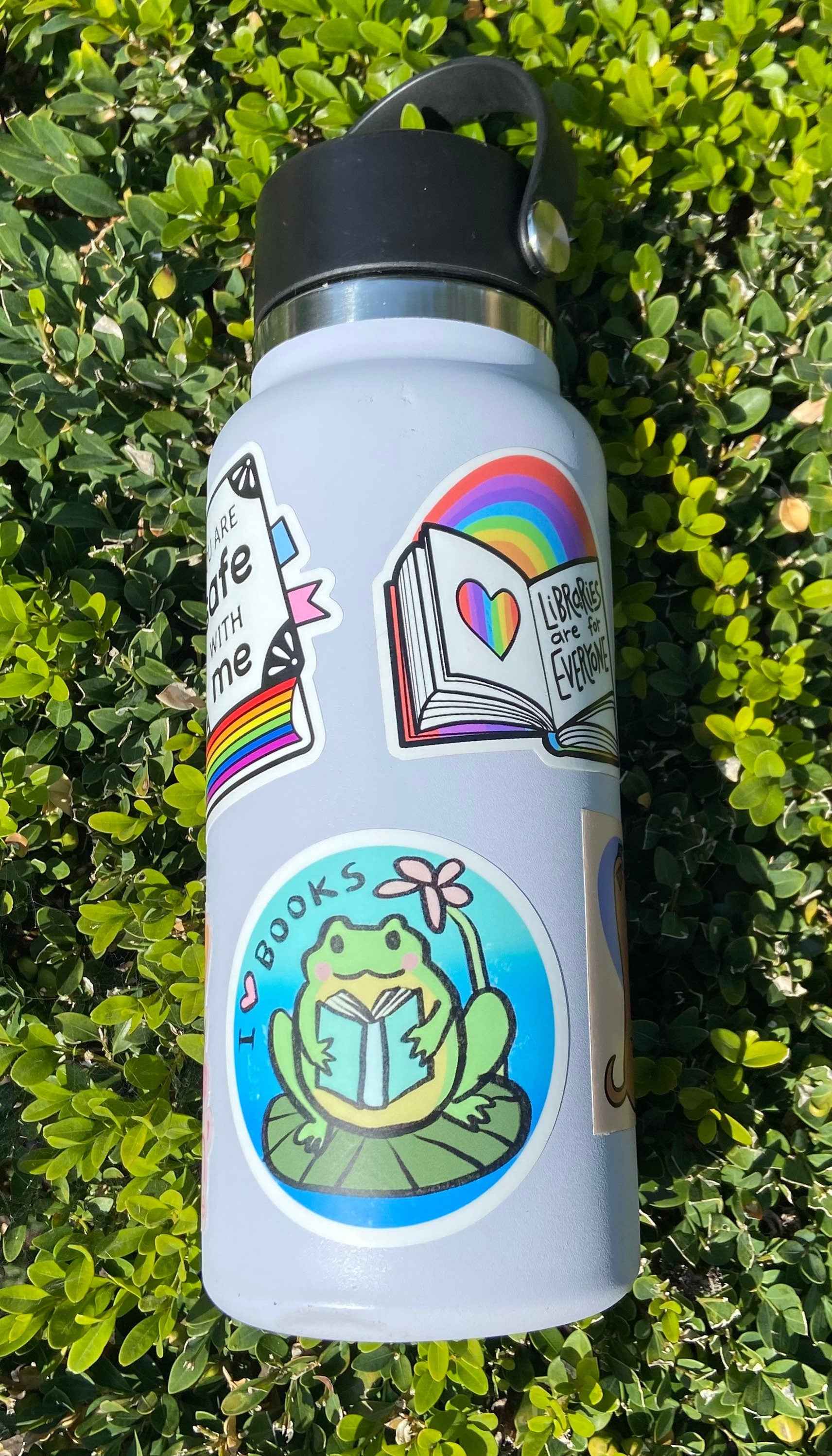 Frog Sticker || I love my library ||