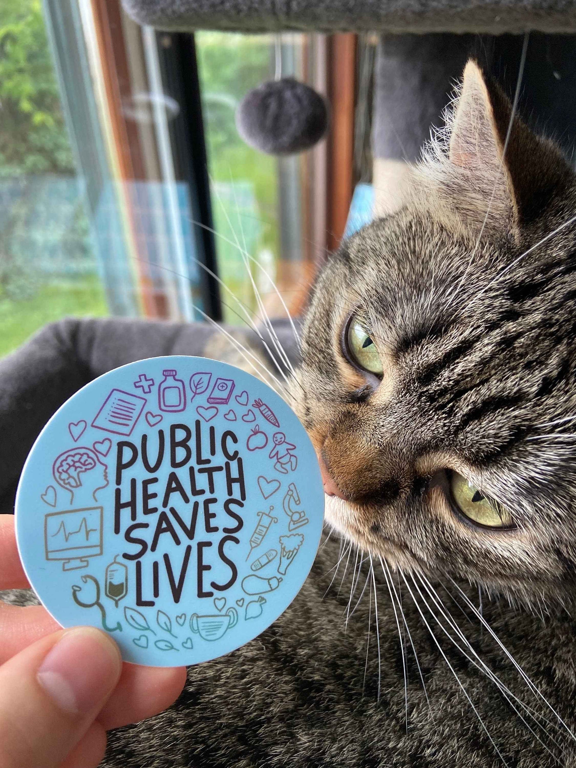 Public Health Saves Lives Sticker